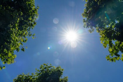 vigilance forte canicule