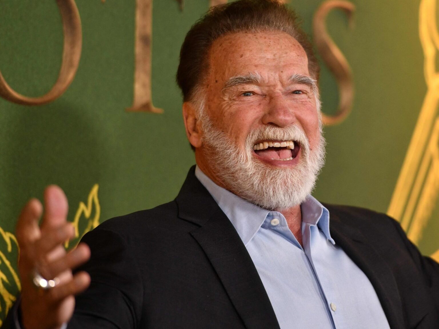 arnold schwarzenegger vermögen